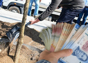 Samuel García y Árboles