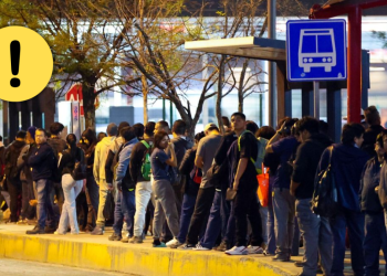 Transporte en nuevo león