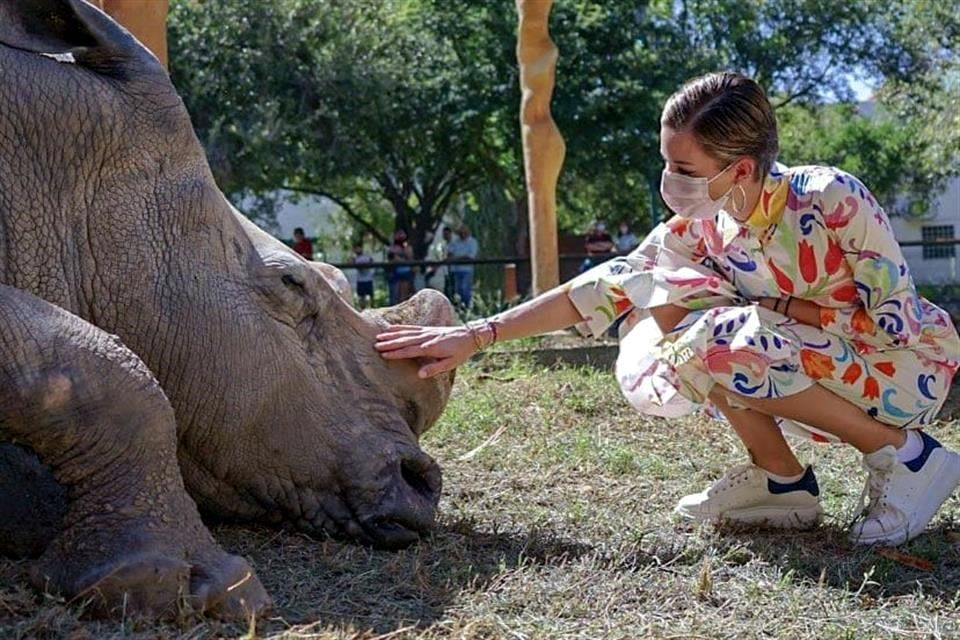 Image › La Sierra Madre Mariana Rodríguez Visitaba Con Regularidad El Zoológico La Pastora.