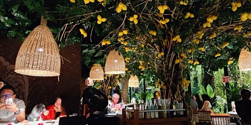 Image › La Sierra Madre ¿cuáles Son Los 5 Restaurantes Más Bonitos De Monterrey?
