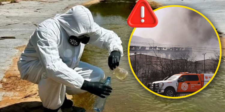 Nuevo León Acumula 295 Delitos Contra El Medio Ambiente En 2025 La Sierra Madre › La Sierra Madre Nuevo León Acumula 295 Delitos Contra El Medio Ambiente En 2025 La Sierra Madre › La Sierra Madre