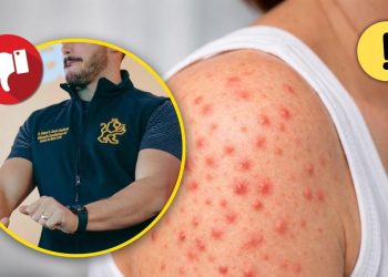 SarampiÓn-nuevo-leÓn-samuel-garcÍa-80 › La Sierra Madre