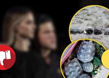 Tortugas-muertas-gobierno-de-mc-nuevo-león › La Sierra Madre