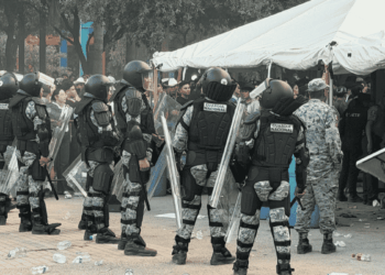 Disturbios En El Fan Fest De Nuevo León › La Sierra Madre