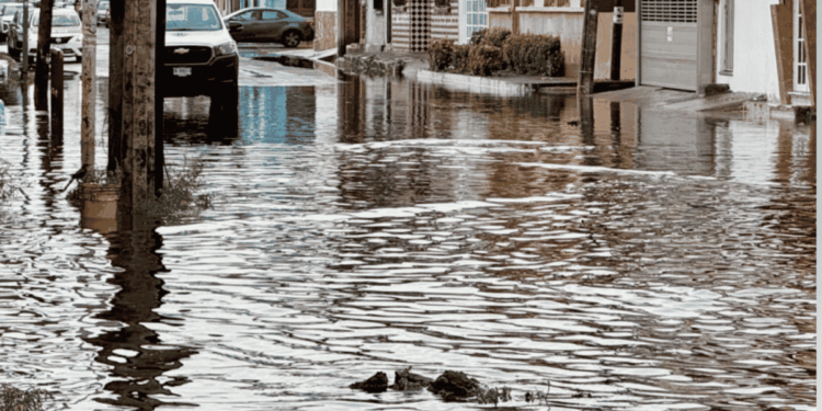 a City Street Submerged in Floodwater, with Parked Cars Along the Curb and Buildings Reflected in the Water. › La Sierra Madre