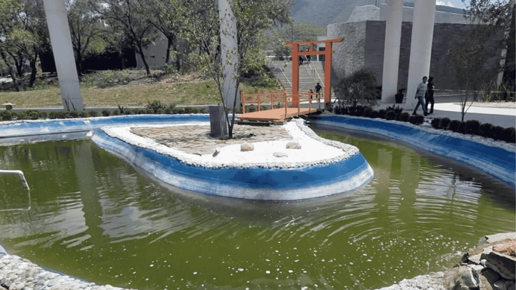 Parque Del Agua › La Sierra Madre