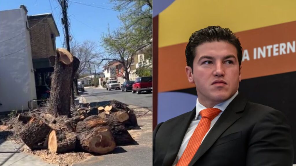 Samuel-garcia-oms-arboles-deficit 1 › La Sierra Madre Left: a Large Uprooted Tree Trunk and Scattered Logs on a Sunny Suburban Street Between Houses. Right: a Man in a Dark Suit with an Orange Tie at a Formal Event or Conference. › La Sierra Madre