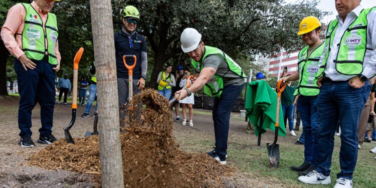 Samuel García árbol › La Sierra Madre