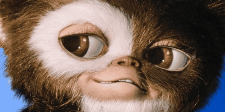 La Nueva Película Gremlins 3 - La Sierra Madre › La Sierra Madre