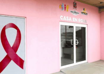 Kits Oncológicos En Escobedo - La Sierra Madre › La Sierra Madre
